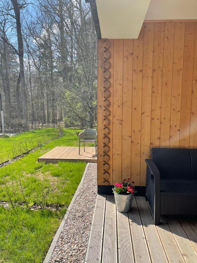 Apartament Magia Puszczy Z Widokiem Na Puszcze Bialowieska Hajnowka Exterior photo