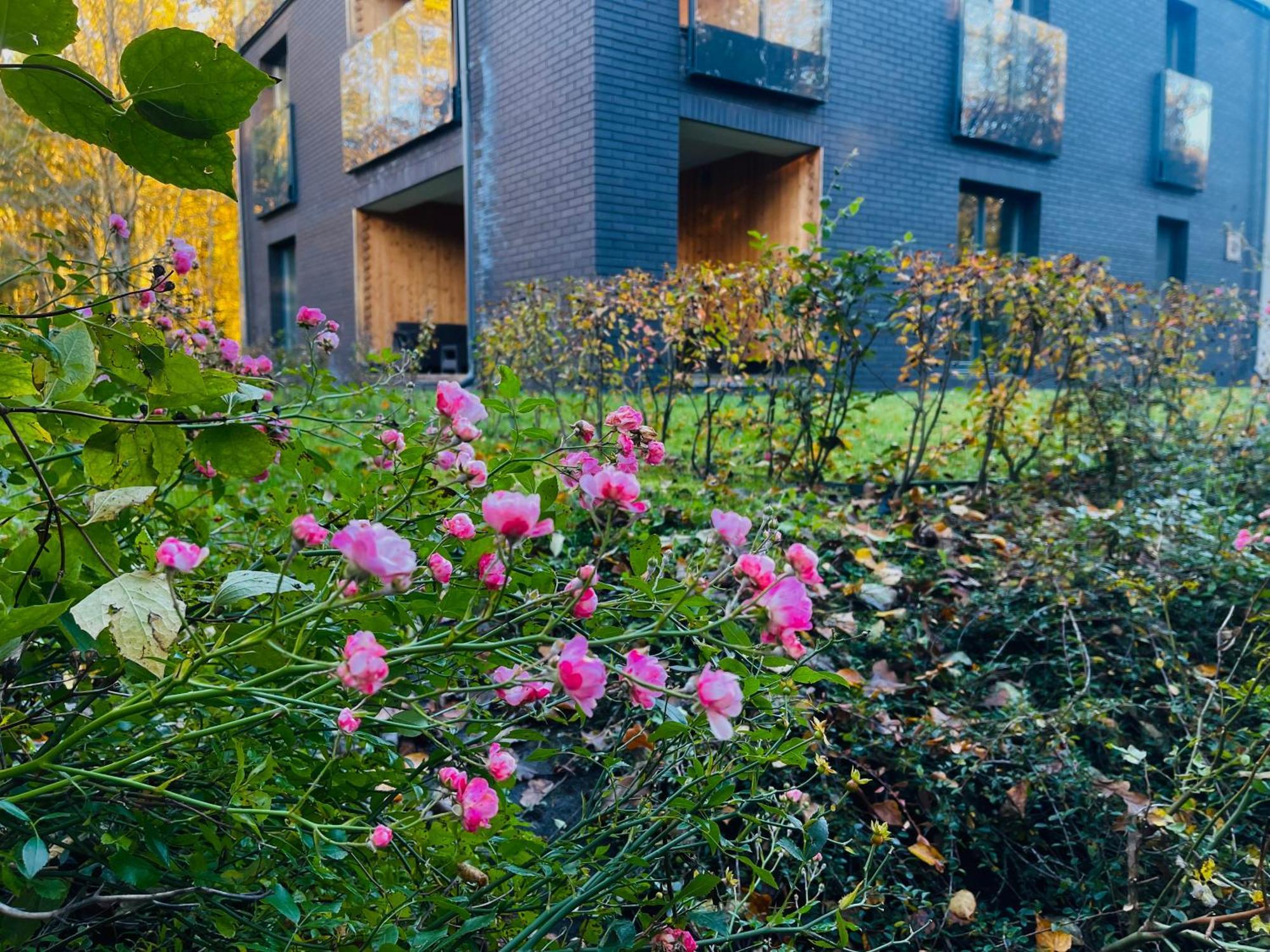 Apartament Magia Puszczy Z Widokiem Na Puszcze Bialowieska Hajnowka Exterior photo